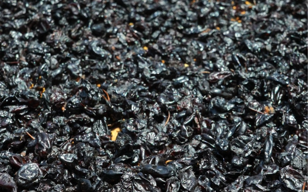 蒸萸肉功效与作用(蒸萸肉的功效与作用,了解一下)