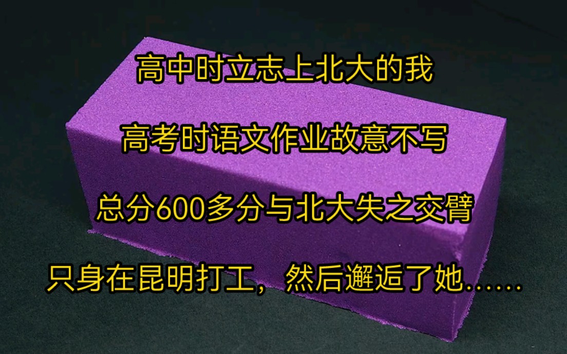 《昆明日记》高中时立志上北大的我,高考时语文作文故意不写,总分600多分与北大失之交臂,只身在昆明打工,然后邂逅了她……哔哩哔哩bilibili