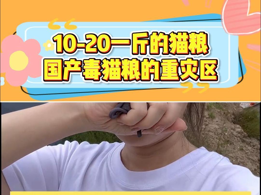 原来1020一斤的猫粮才是国产毒猫粮的重灾区哔哩哔哩bilibili