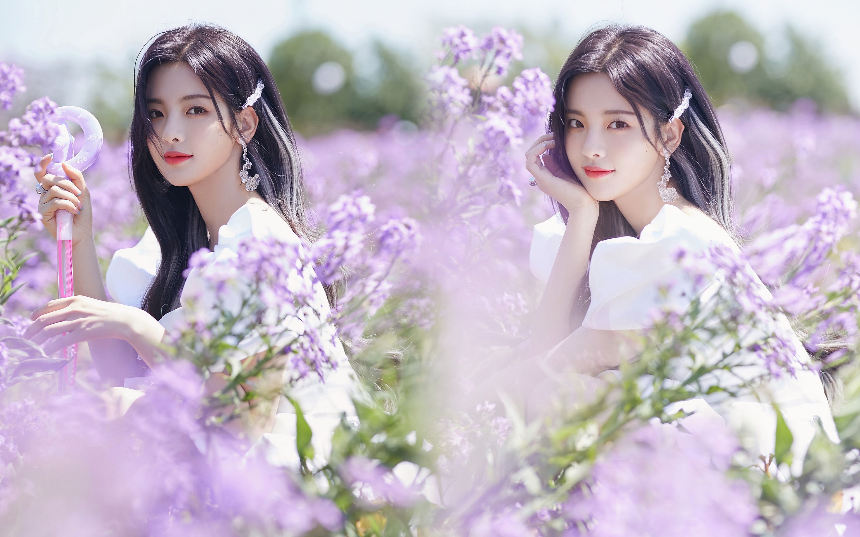 【4k60fps】荷兰花海官博宣传视频 杨超越