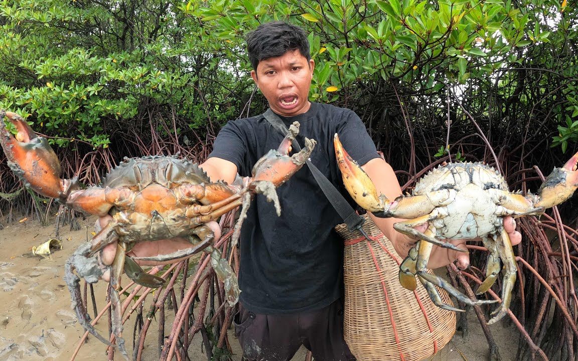 菲律宾职业抓蟹人黑胖,红树林泥滩抓青蟹王,当地螃蟹多得泛滥了