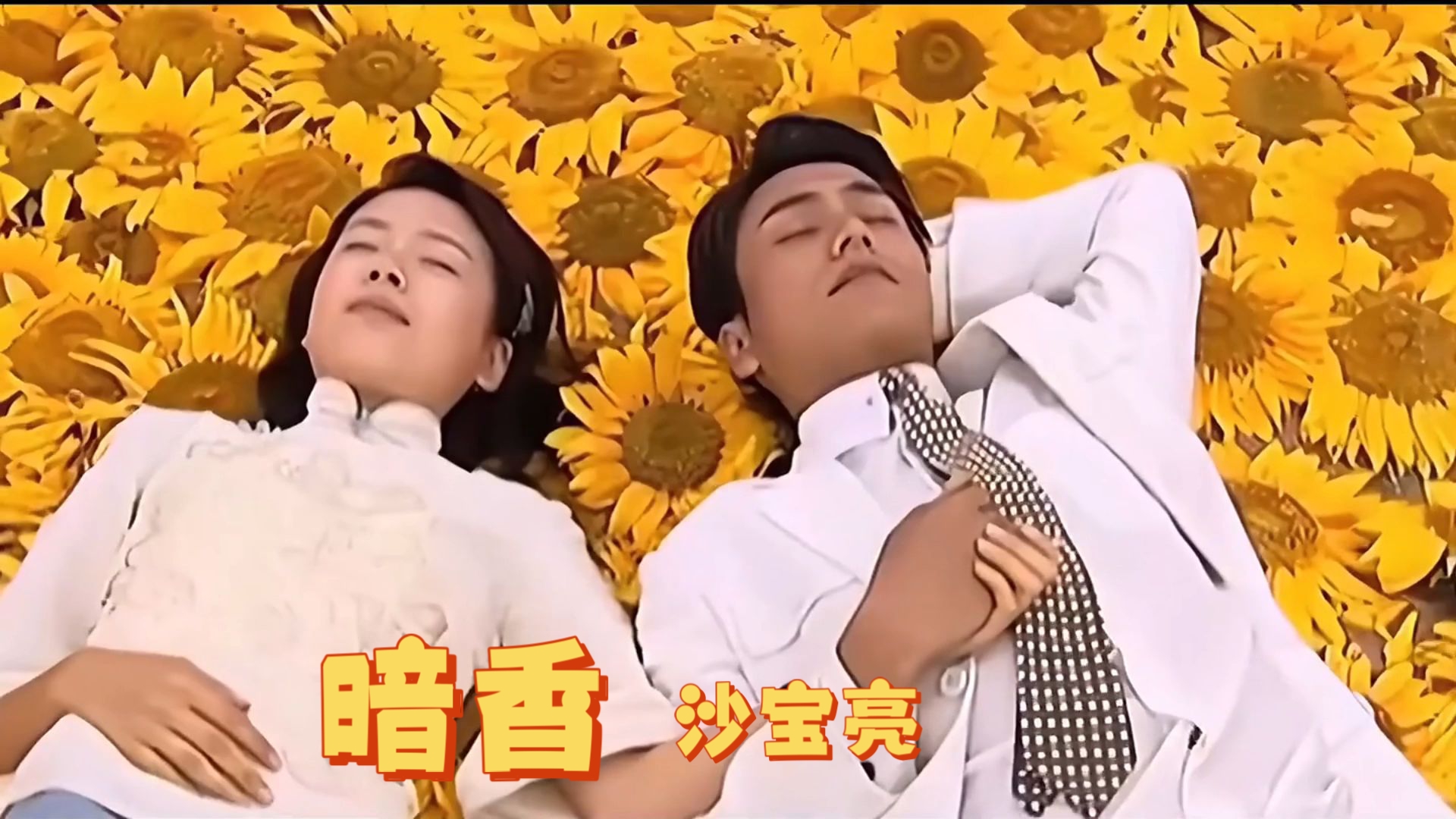 【华语经典】《暗香》沙宝亮,电视剧《金粉世家》主题曲.