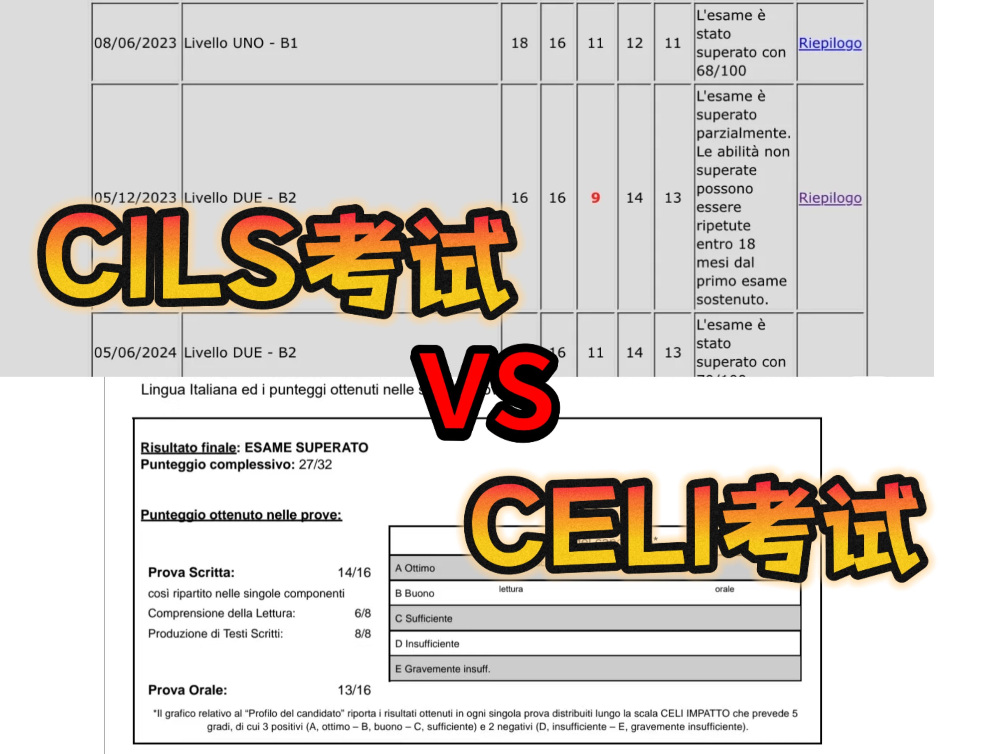 科普!意大利语的CELI考试和CILS考试究竟有何区别?|意大利语备考哔哩哔哩bilibili