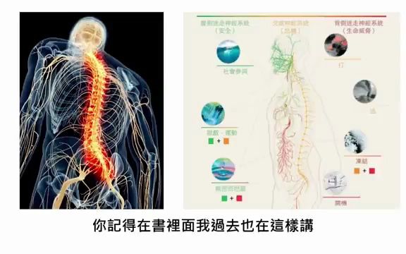 [图]楊定一：打哈欠、伸懶腰，透過迷走神經喚醒大腦，讓全身放鬆－呼吸，為了療癒QA（10）