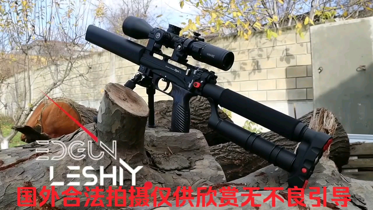 Edgun,#俄罗斯#PCP#丽诗2代#leshiy2#airgun#狩猎玩具#充气玩具#户外玩具#男人的玩具,国外合法拍摄,仅供欣赏,切勿模仿,无不良引导哔哩哔哩...