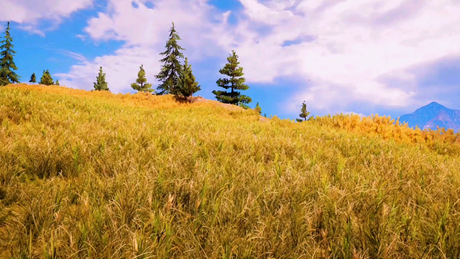 孤岛惊魂5—我在游戏看风景