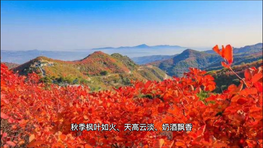 赤峰旅游——阿鲁科尔沁旗(九)哔哩哔哩bilibili