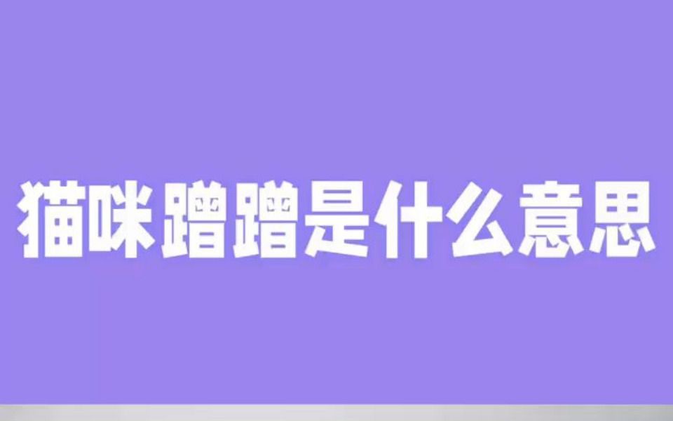 猫咪蹭蹭是什么意思哔哩哔哩bilibili