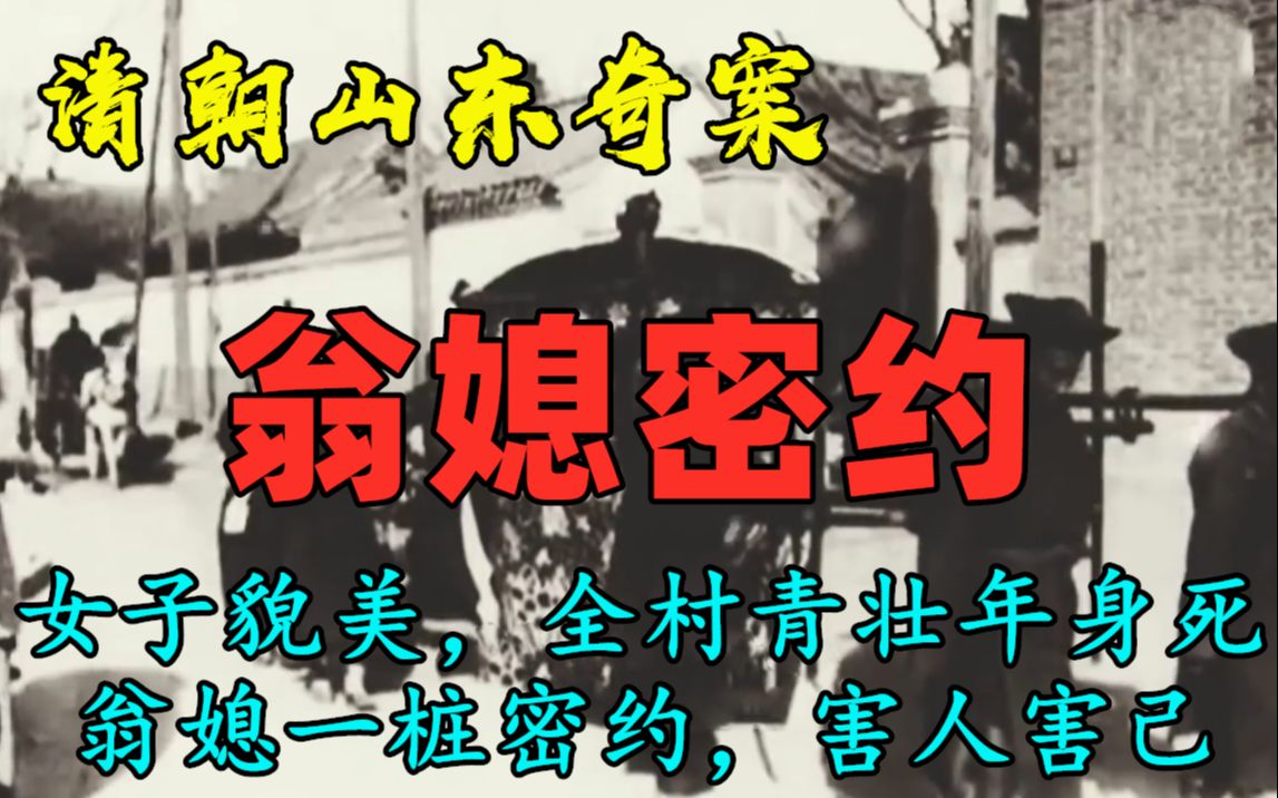 清朝山东奇案(1735年):女子貌美,全村青壮男身死,翁媳一桩密约,害人害己哔哩哔哩bilibili