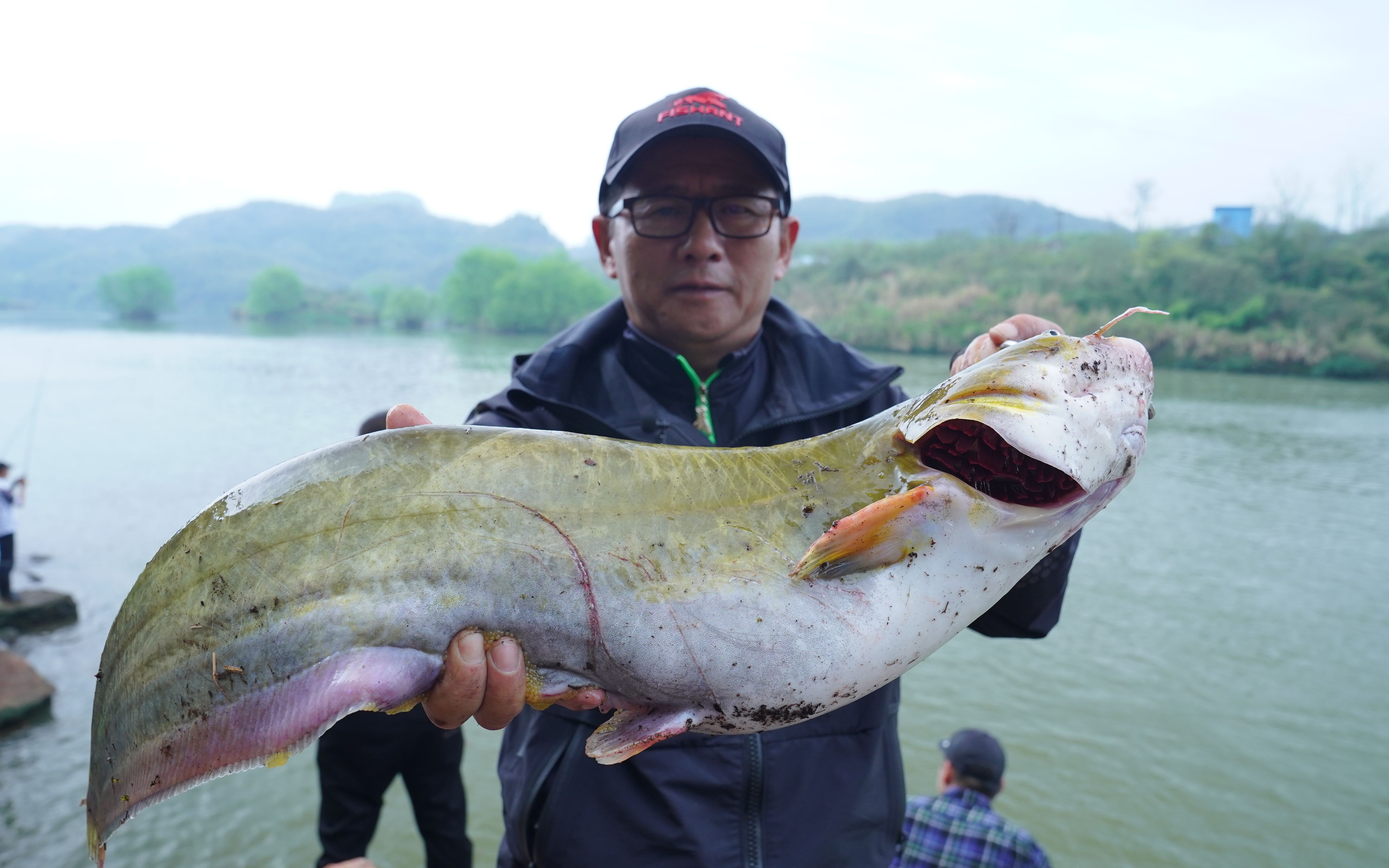 飞蚂蚁【狂浪铁板】狂浪嗨钓大口鲶!超爽体验!
