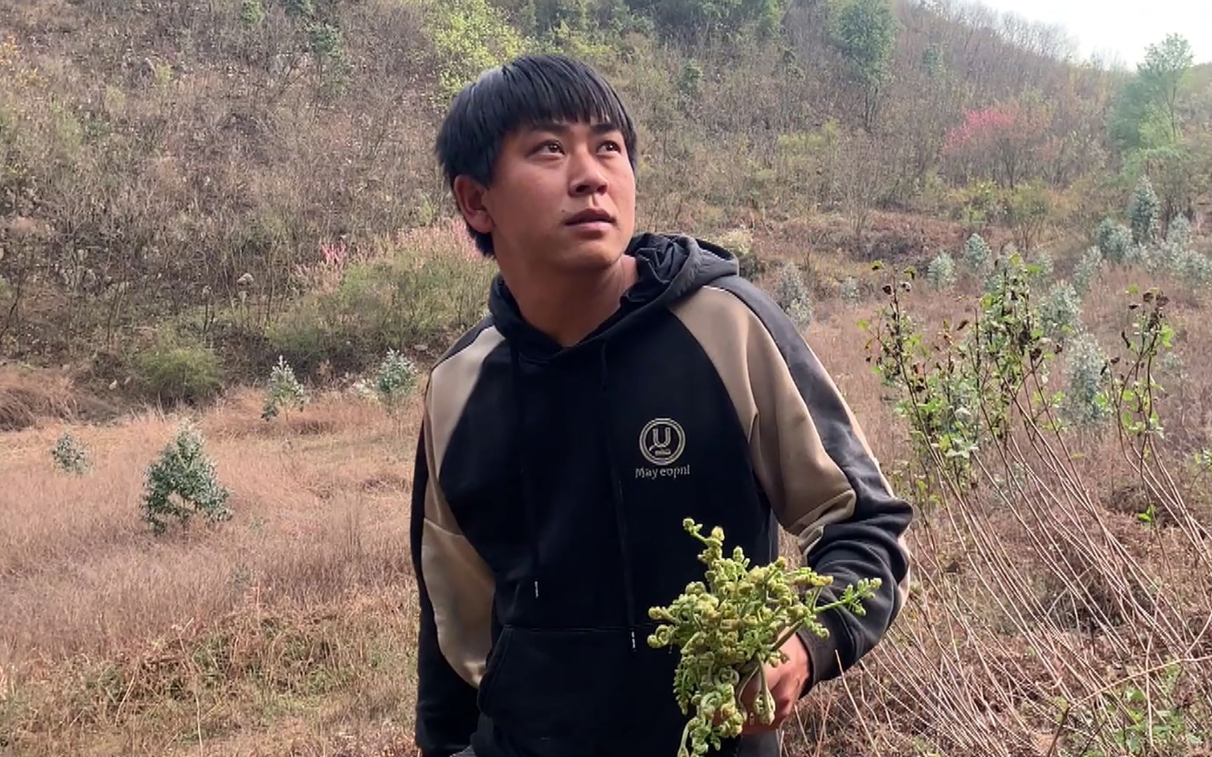 农村夫妻进山摘野菜,媳妇突然不见了,老公急忙去找媳妇