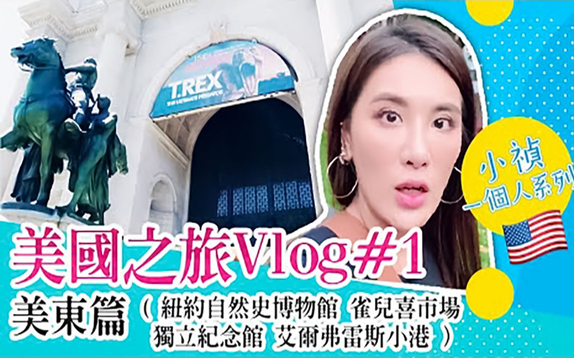 【小祯一个人系列#18】美国行Vlog#1 美东篇哔哩哔哩bilibili