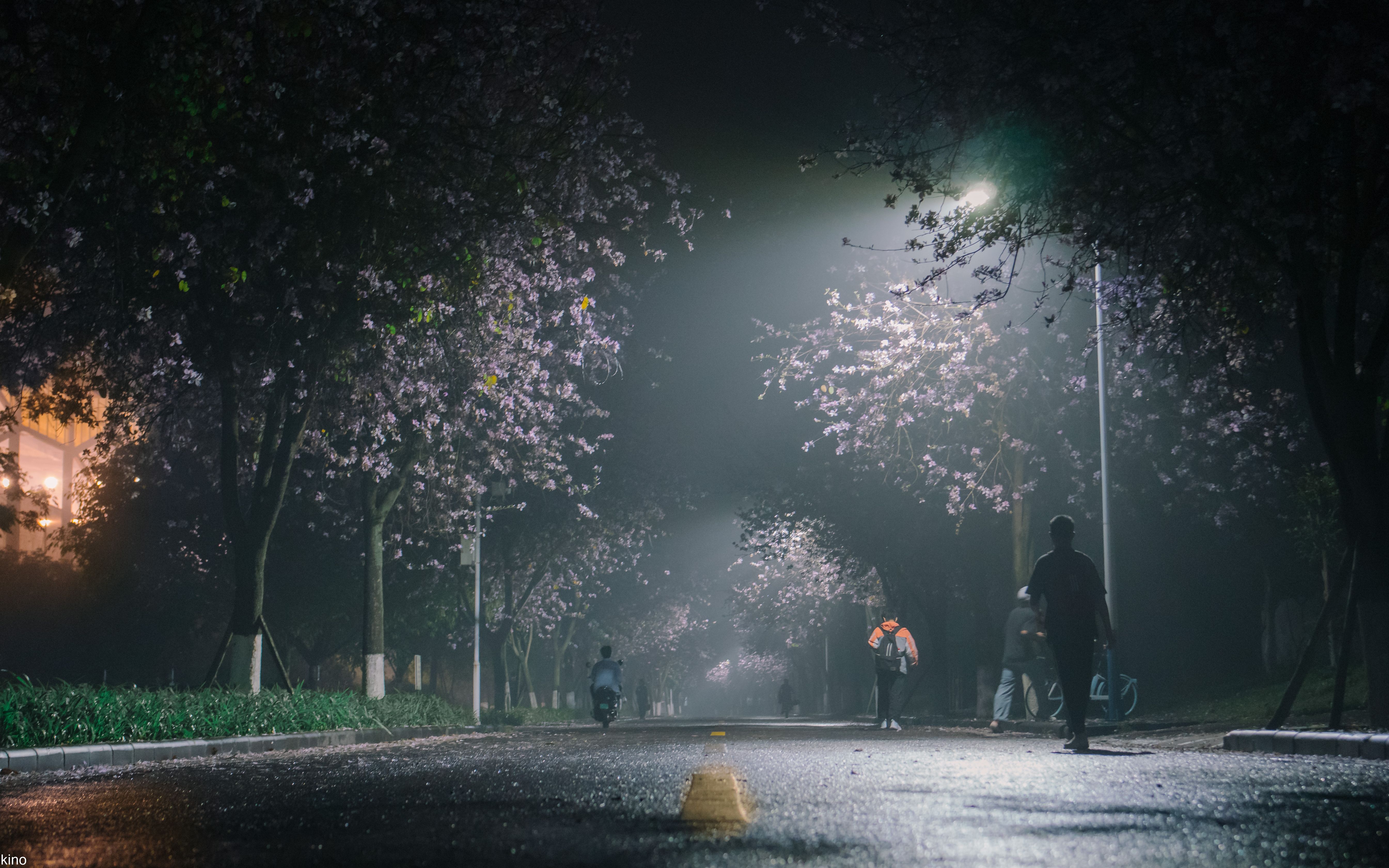 又是一年春天,记忆里的人们都还一样吗哔哩哔哩bilibili