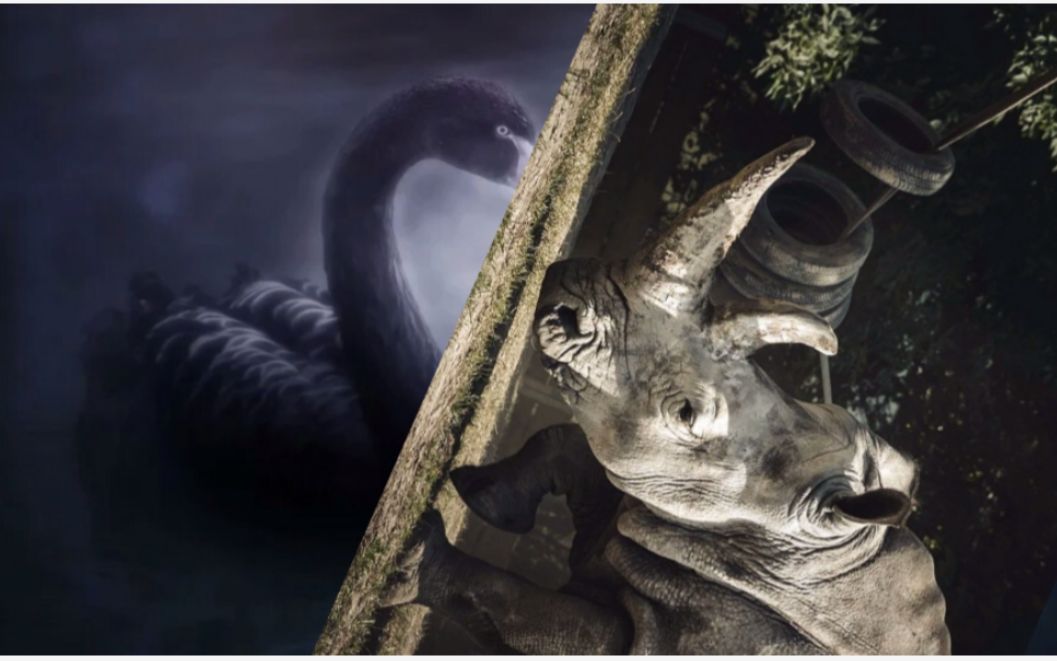 黑天鹅 vs 白犀牛_哔哩哔哩_bilibili