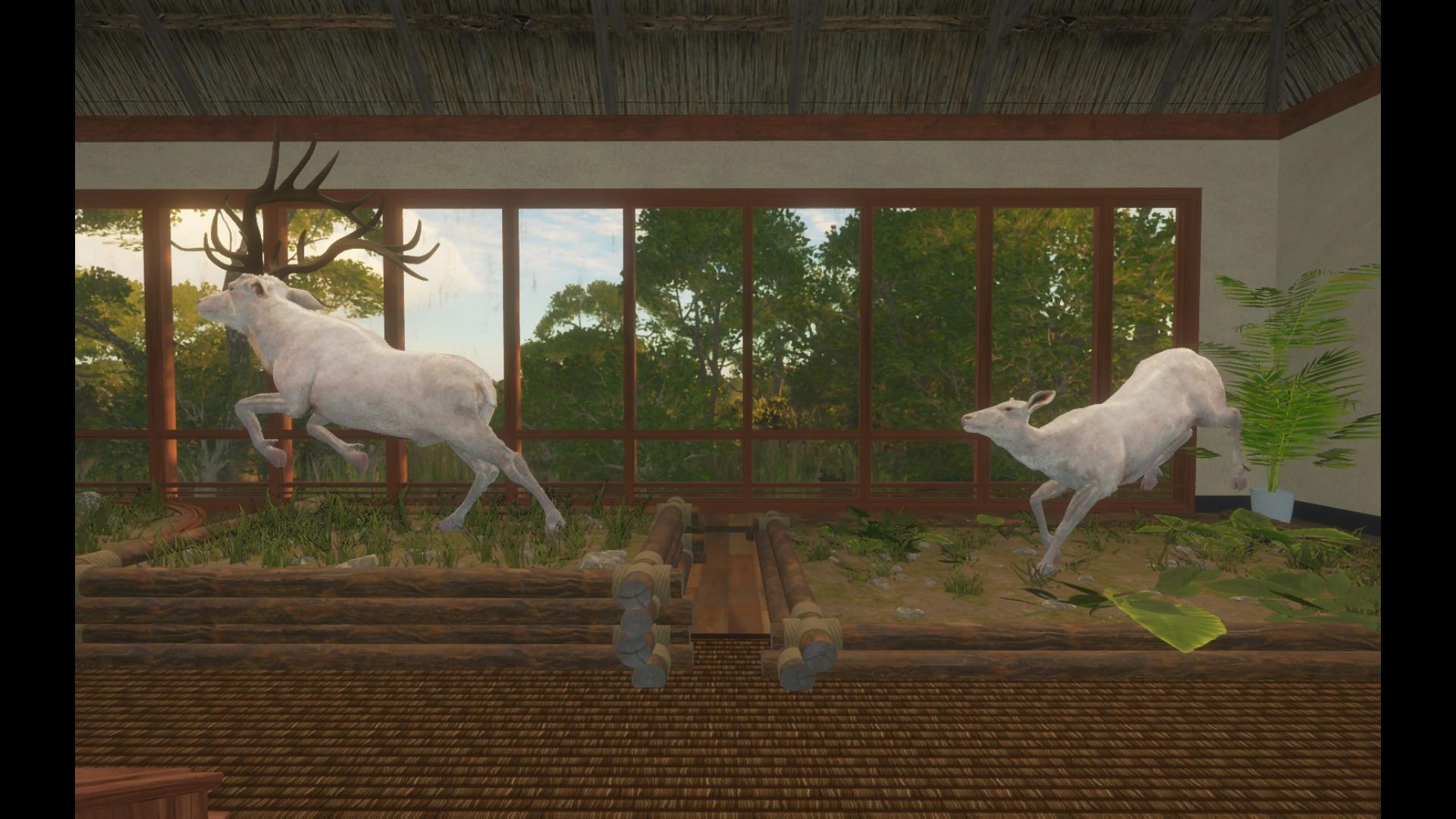 【猎人:荒野的召唤】白化落基山马鹿和散装奔逃