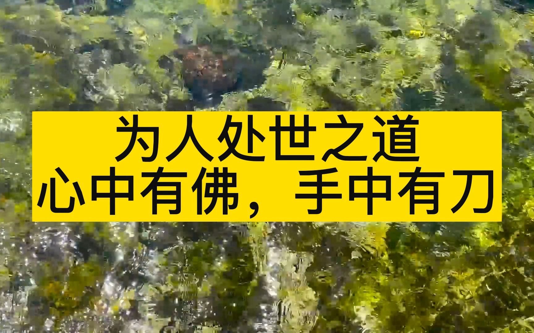 旧上海大佬杜月笙的为人处世之道,堪称教科书典范,心中有佛,手中有刀