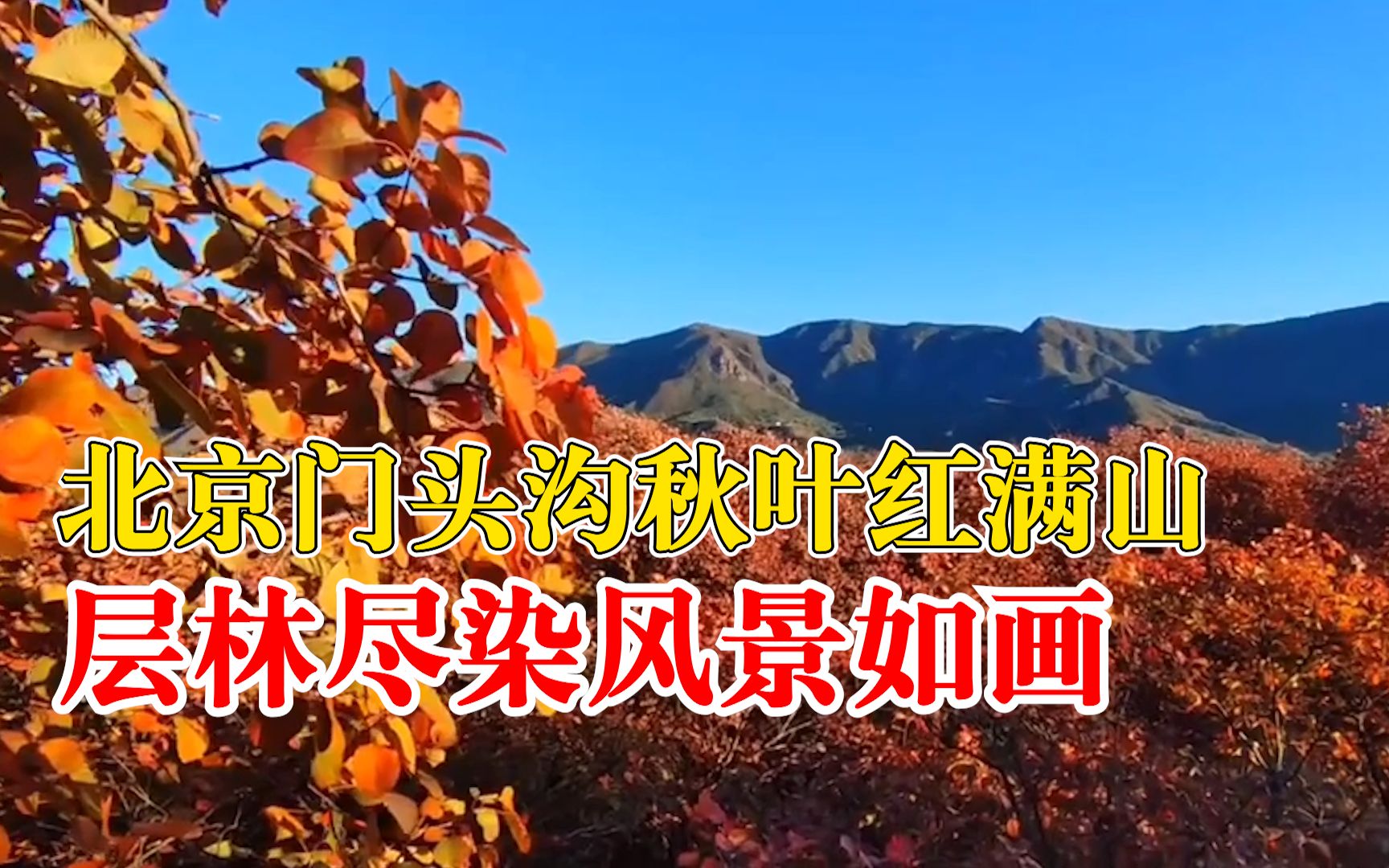 [图]赏秋正当时！北京门头沟秋叶红满山：层林尽染风景如画