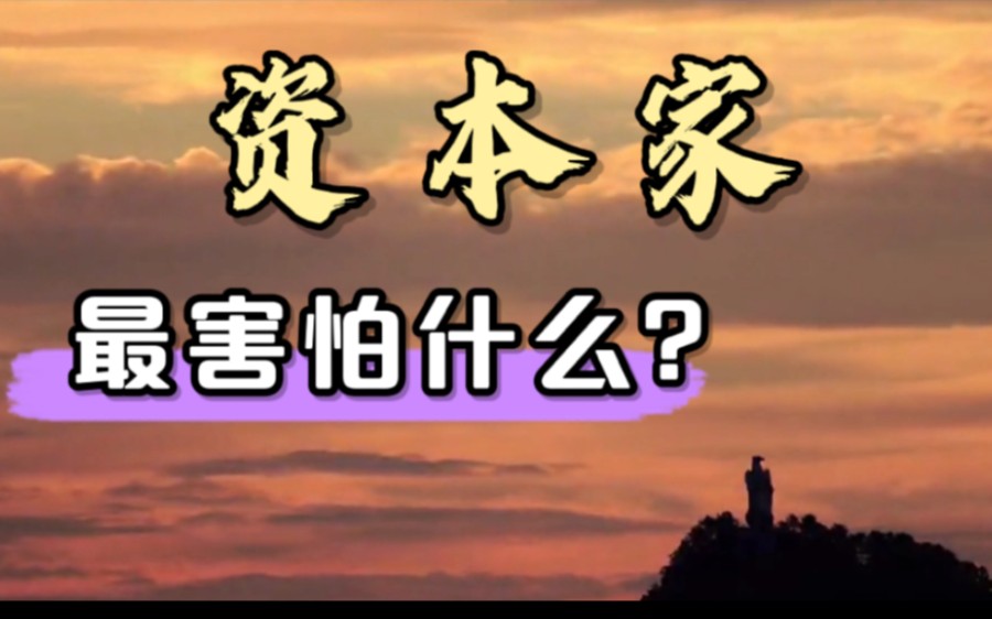 资本最害怕:底层民众成为有组织、有纪律、有诉求的团体哔哩哔哩bilibili