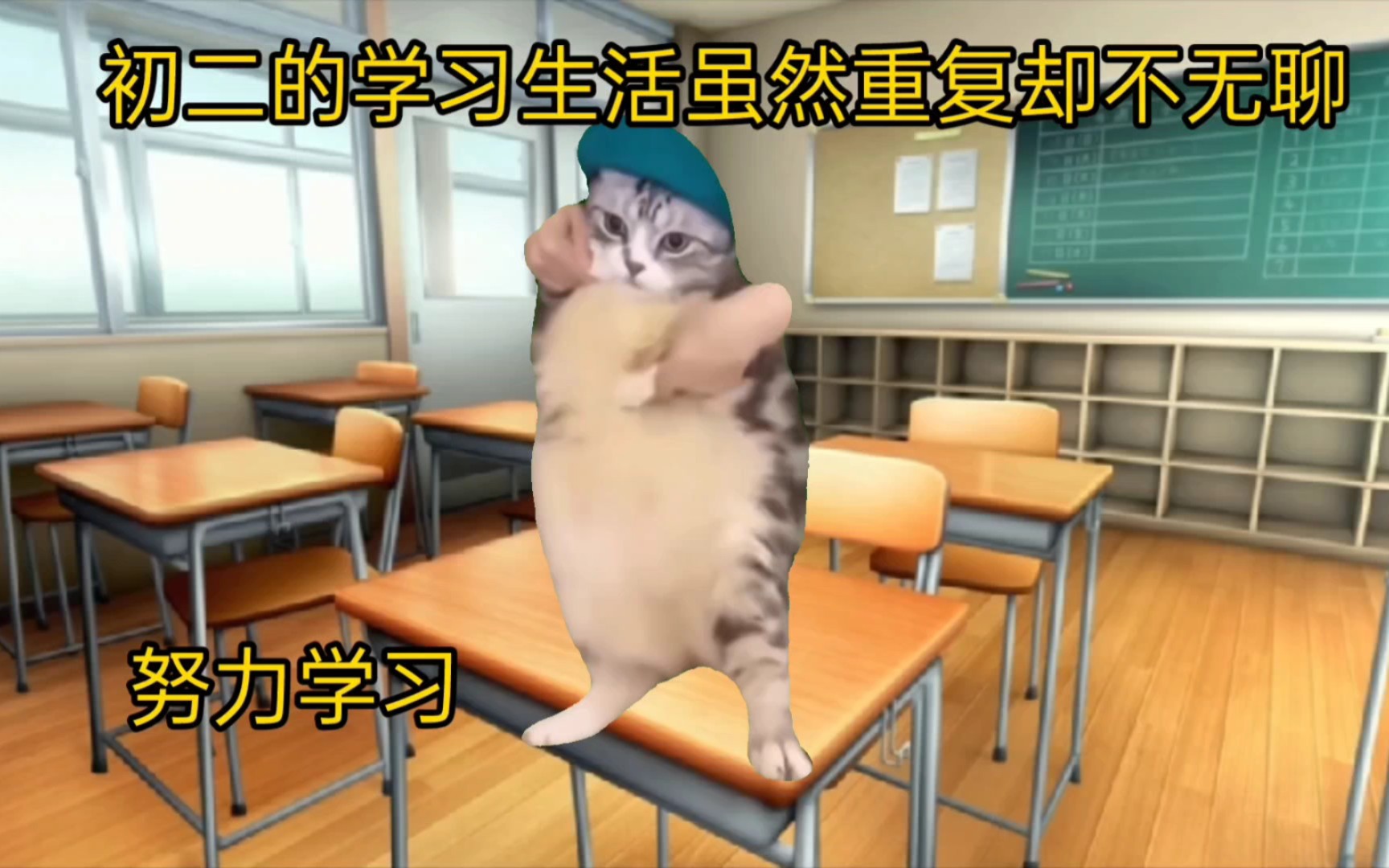 [图]【猫猫meme】关于我被一群人性侵犯那件事