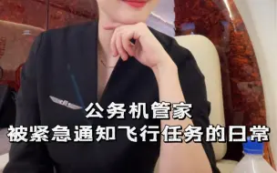 Download Video: 私人飞机Vlog｜挑战20分钟快速出飞行任务-的日常