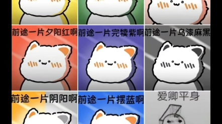 【小白呦百】最新视频来袭,快来看看吧!