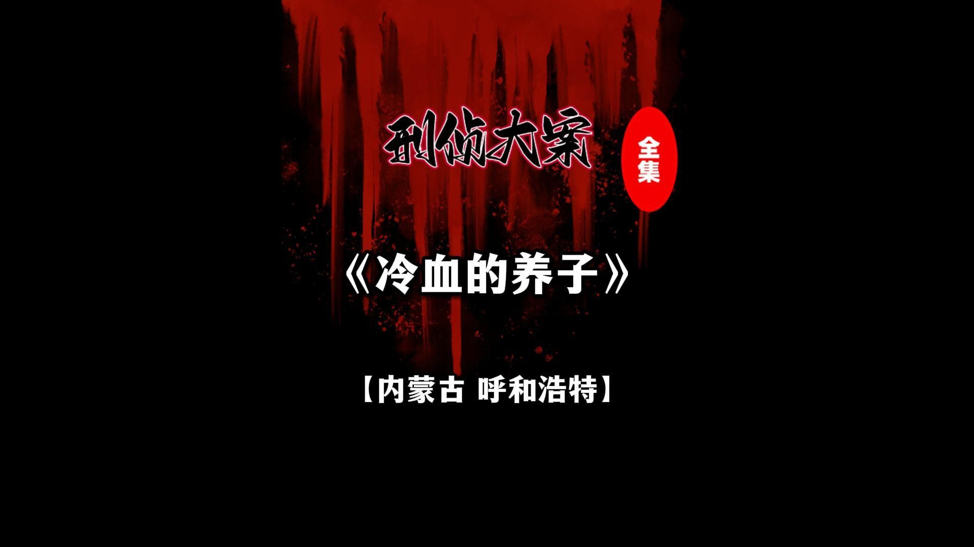 杀害自己母亲需要理由吗?或许对于本案凶杀而言并不需要!哔哩哔哩bilibili