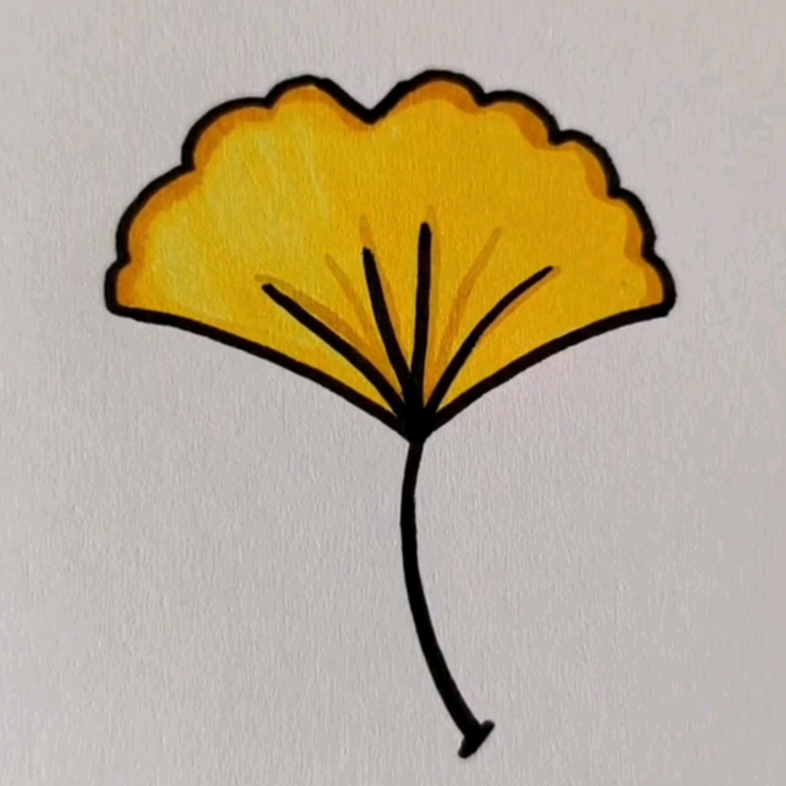银杏树的简笔画叶子图片