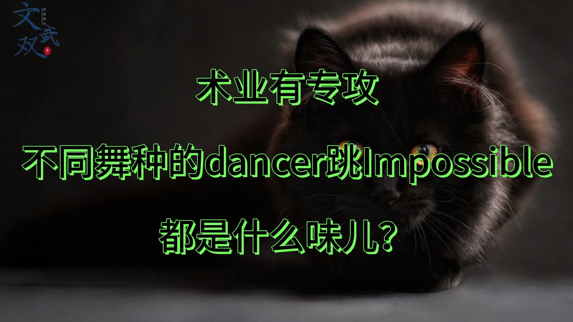 [图]【舞蹈细节鉴赏】不同舞种的dancer跳impossible都是什么味儿？Impossible怎么跳才有house味儿？