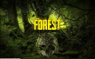 【森林The Forest】指南针 地图 现代斧 玩具头 炸药 收集路线新人向