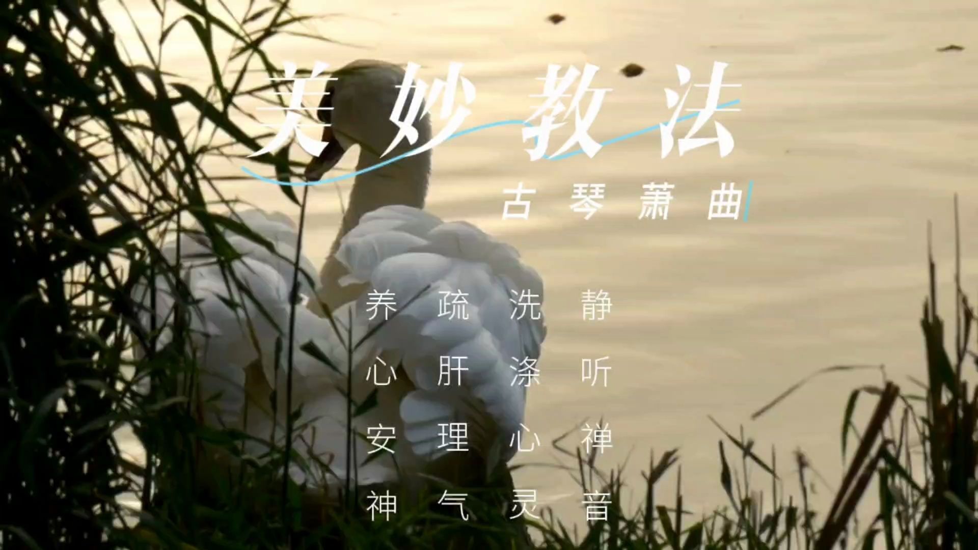 【音乐静听】76古琴萧曲《美妙教法》静听禅音,洗涤心灵,疏肝理气,养心安神,治愈纯音,旋律优美,琴音袅袅,空灵悠远哔哩哔哩bilibili