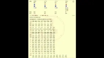 Download Video: 丁酉女星，从格的八字