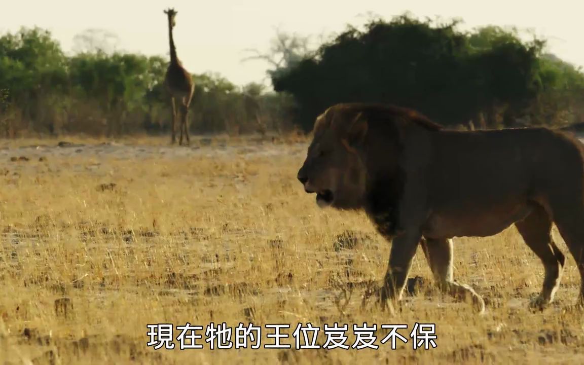 [图]【纪录片】野蛮王国第2季1祸起萧墙-【央视版】-国配