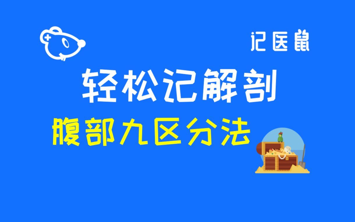 106 解剖 轻松记 腹部9区分法哔哩哔哩bilibili