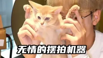 【一笙不鱼】豹豹猫猫你们在演偶像剧吗！！！kswl 暗爽害羞栗子味