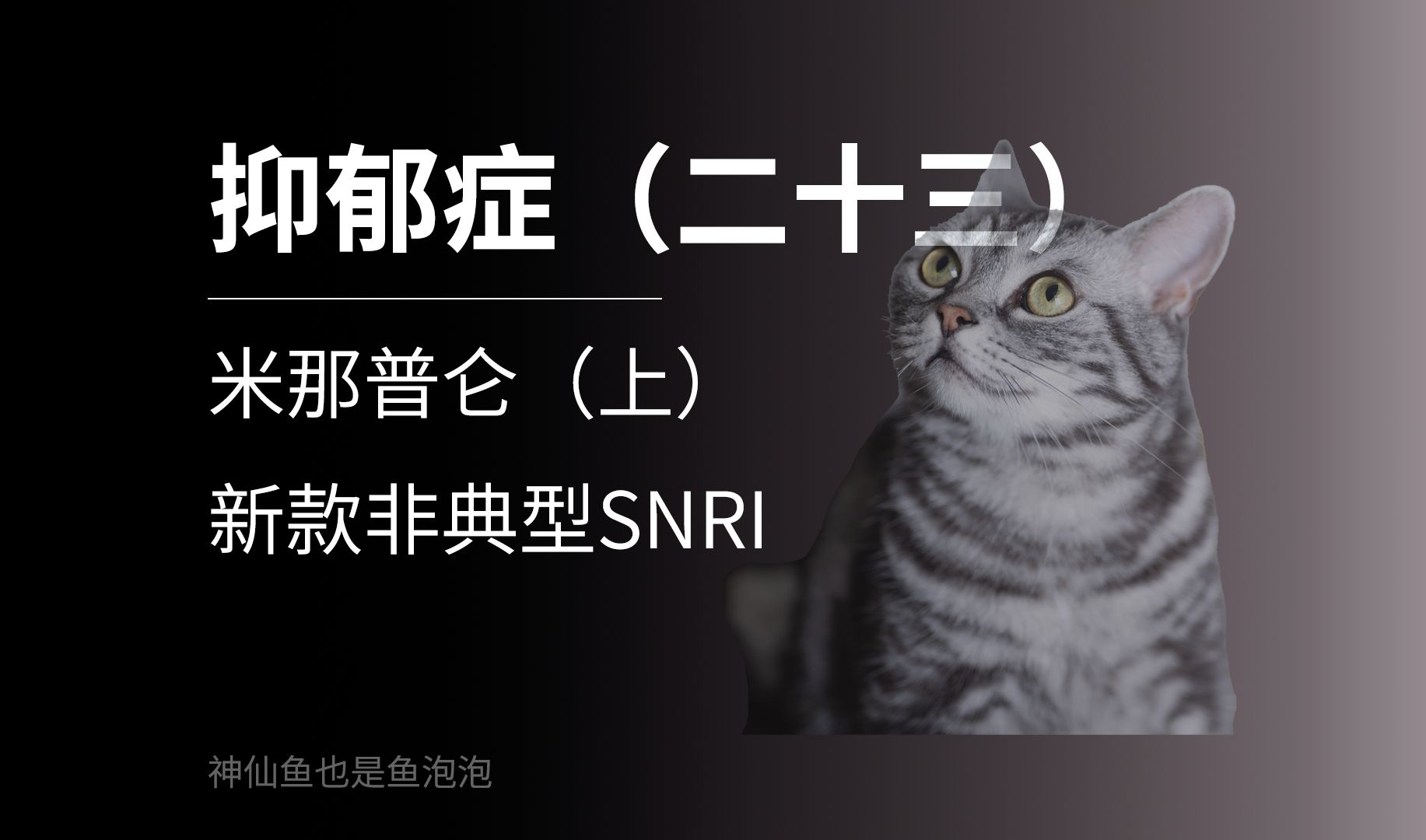 抑郁症(二十三)米那普仑(上)——新款非典型SNRI哔哩哔哩bilibili