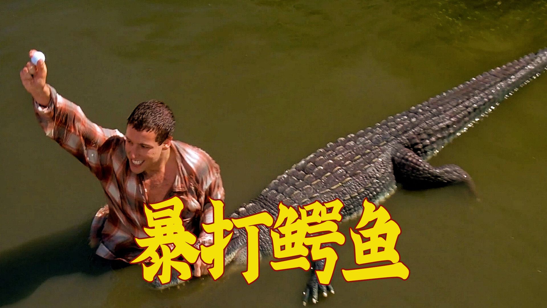 冰球手打高尔夫,为了抢球暴打鳄鱼,爆笑喜剧片《高尔夫球也疯狂》