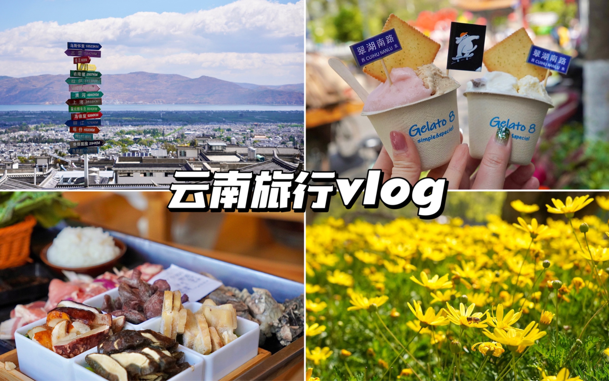 云南旅行vlog(上)|不上班不上学去有风的地方|昆明小吃含价格|大理古城|烤乳扇|云南米线|菌菇火锅|旅游攻略哔哩哔哩bilibili