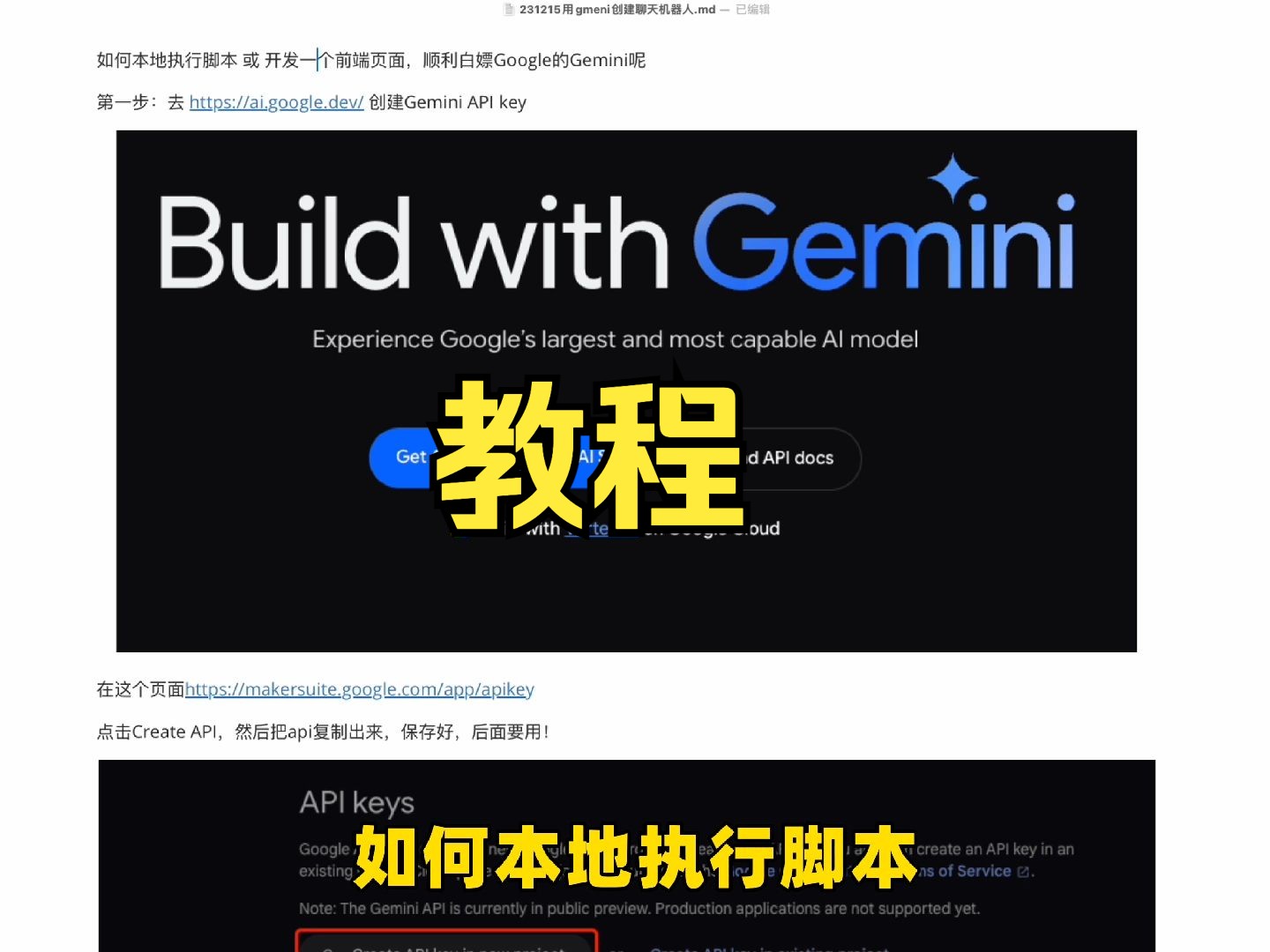 叫板GPT4的Gemini,我做了聊天网页,支持中文和图片输入,附注册、开发教程哔哩哔哩bilibili