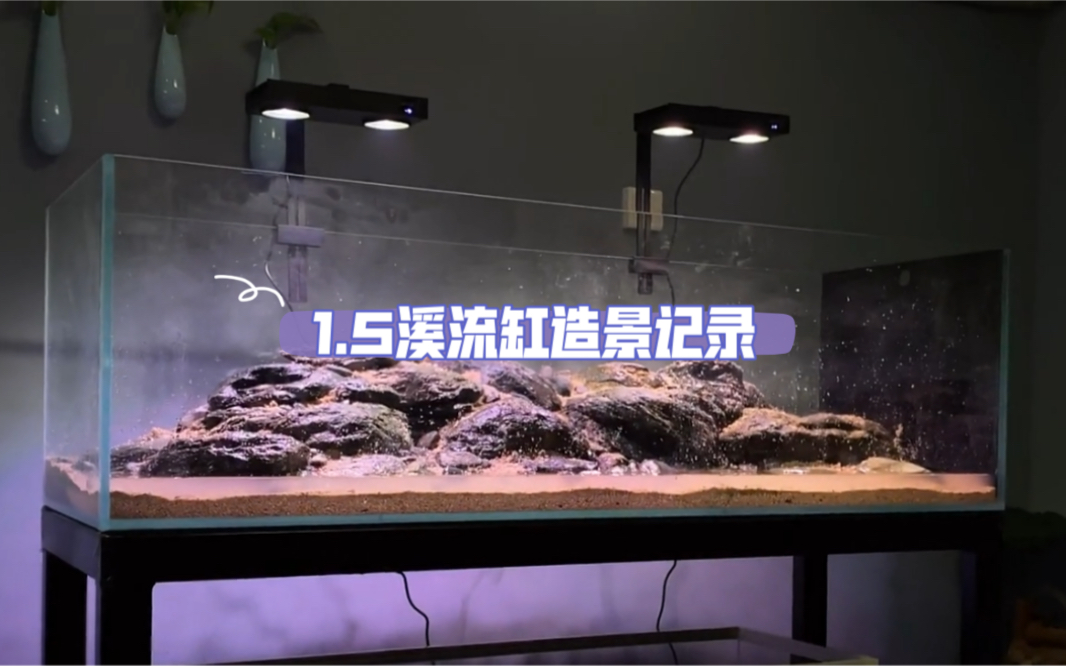 【原生缸造景】1.5溪流缸造景记录 背包溢流底滤 1500×500×500