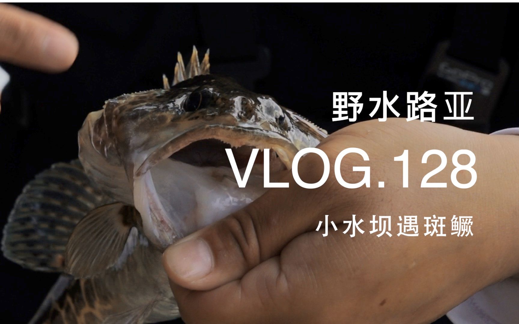 野水路亚VLOG.128 人在广东已经漂泊10年...没有做功课的情况下如何在野外寻找钓点?哔哩哔哩bilibili