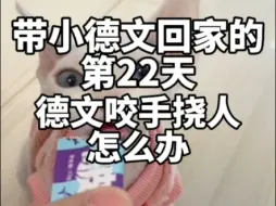 Télécharger la video: 带小德文回家的第22天 德文咬手挠人怎么办