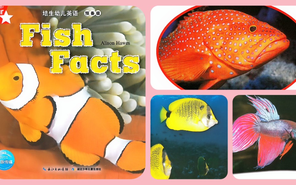 Fish Facts《鱼的真相》英文绘本阅读哔哩哔哩bilibili