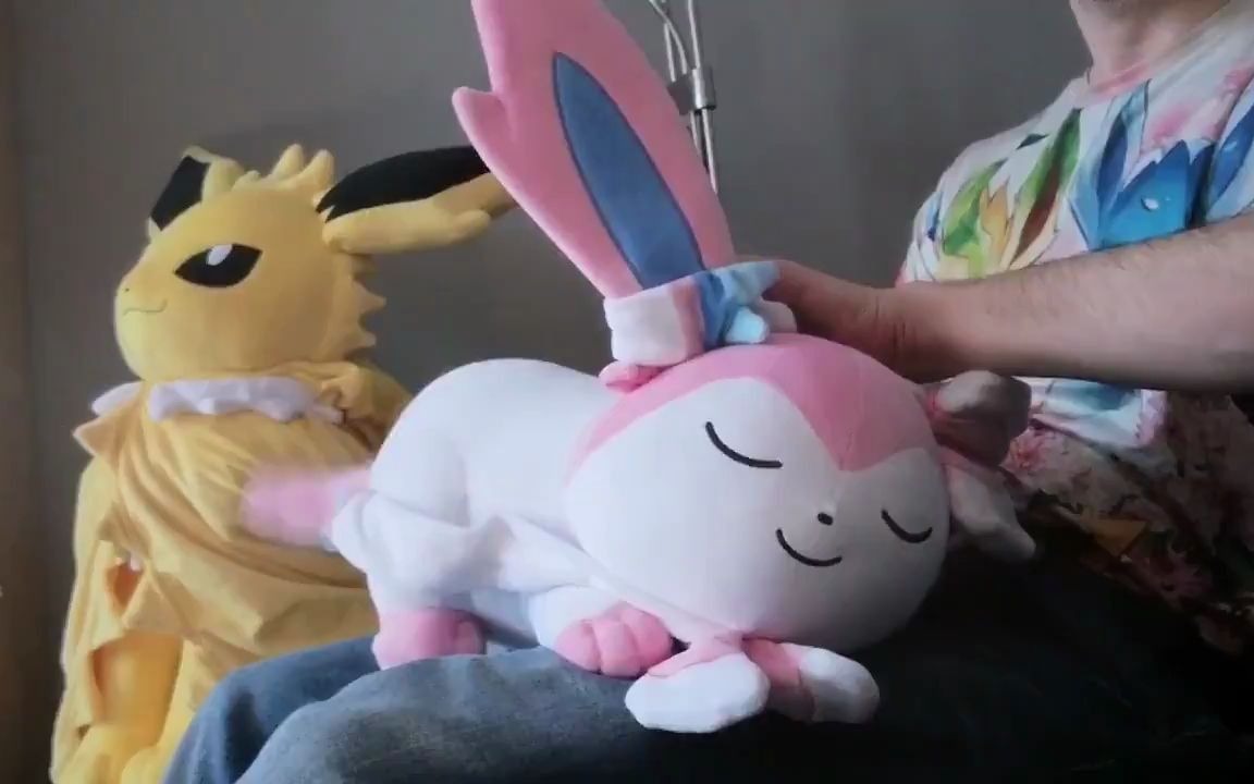 【宝可梦】挠挠仙子伊布