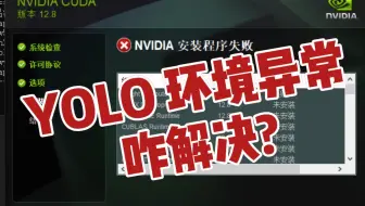 YOLO环境异常处理