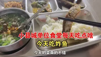 Descargar video: 小县城单位食堂每天吃点啥第16天