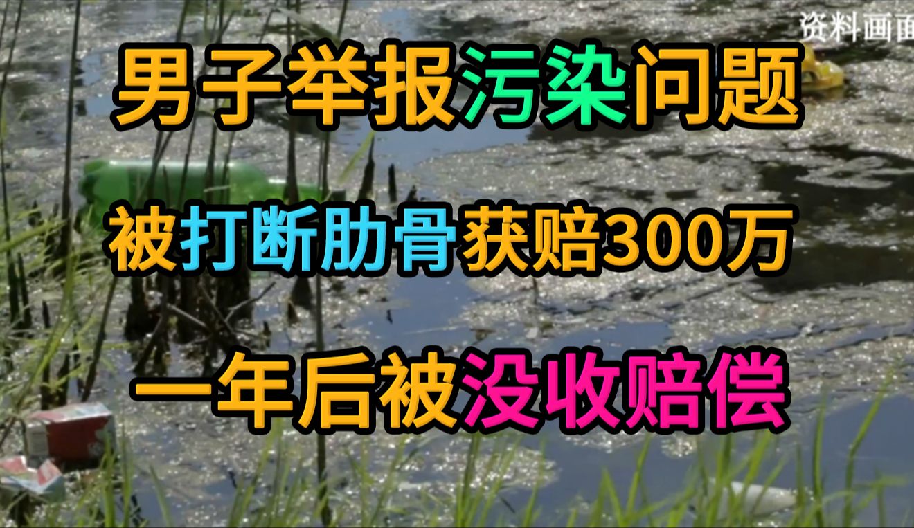 投诉环保问题被打断肋骨,经调解后获赔300万元,一年后被判寻衅滋事追缴违法所得!!哔哩哔哩bilibili