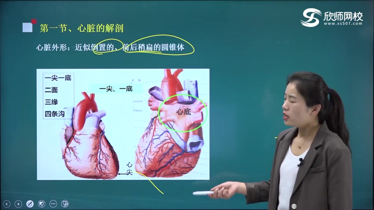 2025超声波医学【代码:346】中级主治医师 基础知识 专业实践能力哔哩哔哩bilibili