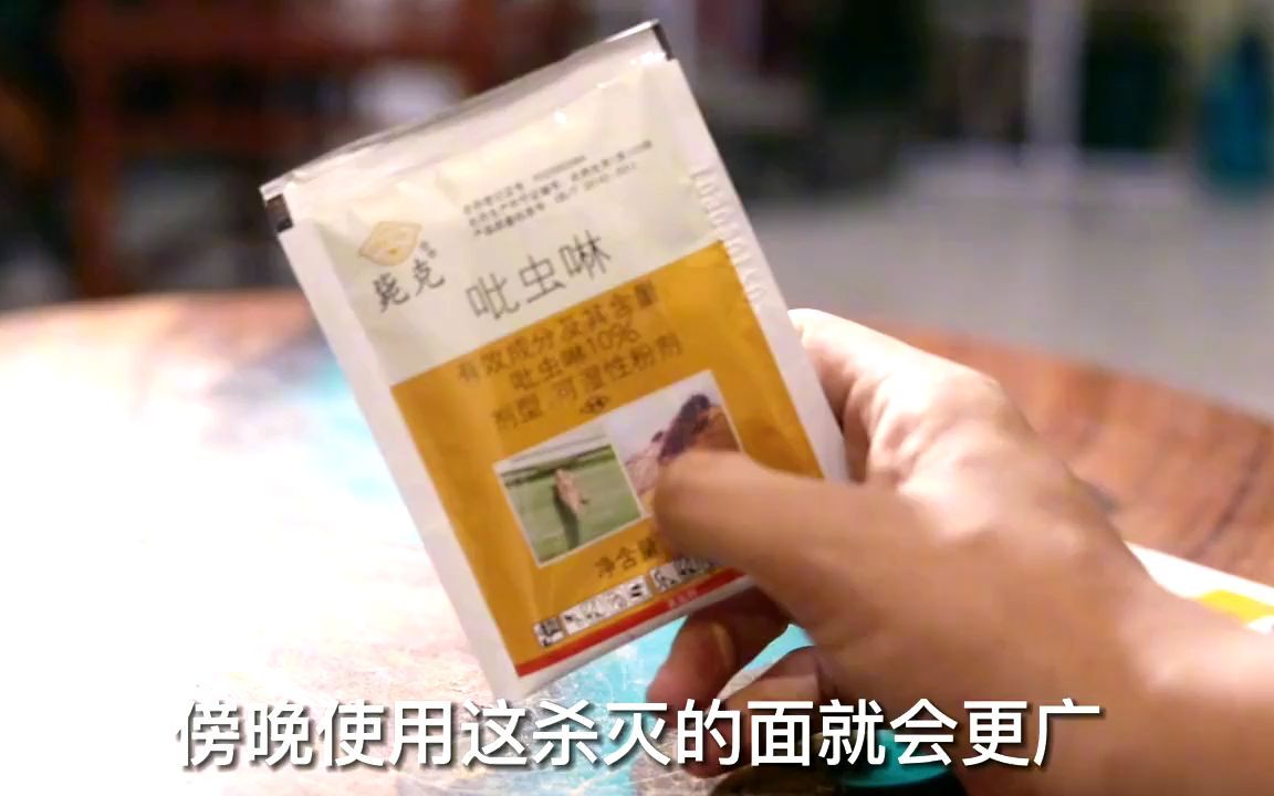 养花长了虫子怎么办?园艺师教你,使用吡虫啉解决,什么花都通用哔哩哔哩bilibili