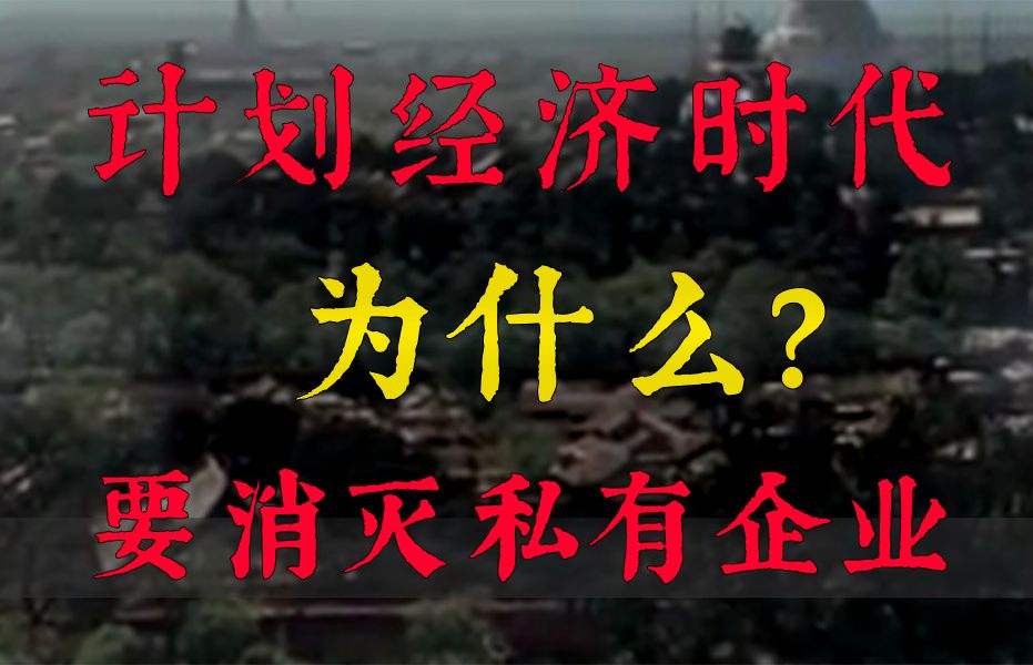 计划经济时代,为什么要消灭私有企业?《解读中国经济》10哔哩哔哩bilibili