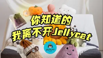 Download Video: Jellycat——当代年轻人的小救赎【品牌博物馆】